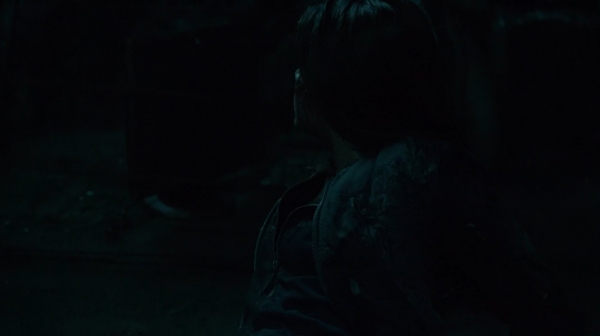 The 100 His Sisters Keeper Season One Episode Six-1112
