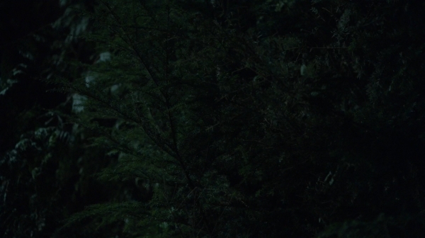 The 100 His Sisters Keeper Season One Episode Six-1050
