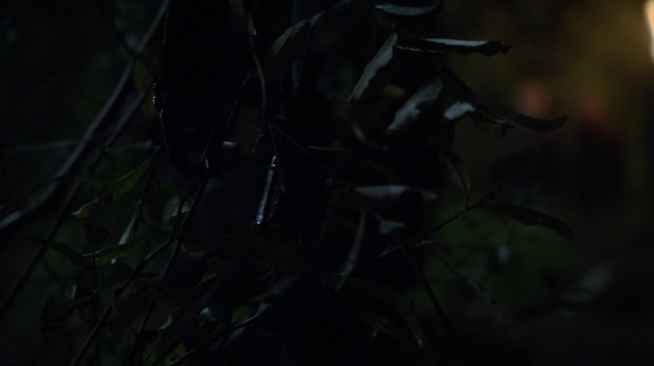 The 100 His Sisters Keeper Season One Episode Six-1027
