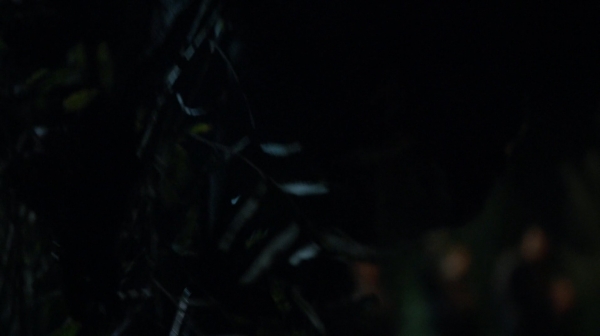 The 100 His Sisters Keeper Season One Episode Six-1026
