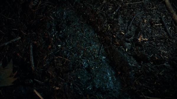 The 100 His Sisters Keeper Season One Episode Six-1001
