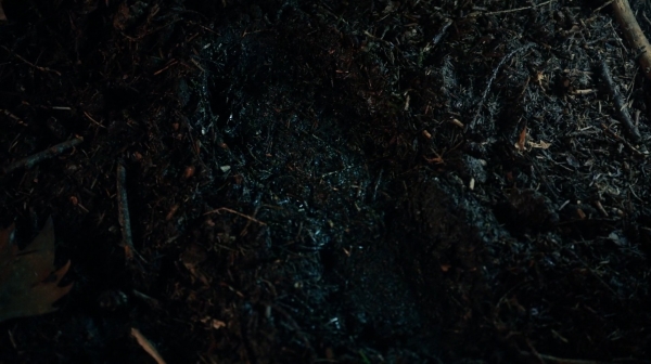 The 100 His Sisters Keeper Season One Episode Six-1000
