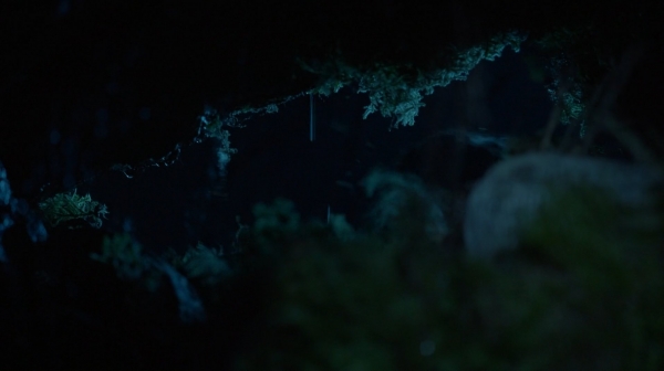 The 100 His Sisters Keeper Season One Episode Six-970
