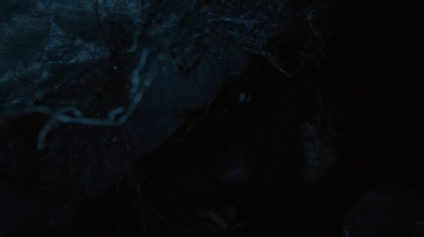 The 100 His Sisters Keeper Season One Episode Six-829
