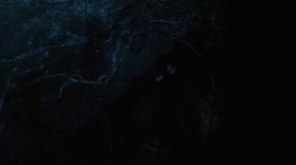 The 100 His Sisters Keeper Season One Episode Six-828
