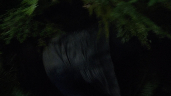 The 100 His Sisters Keeper Season One Episode Six-818
