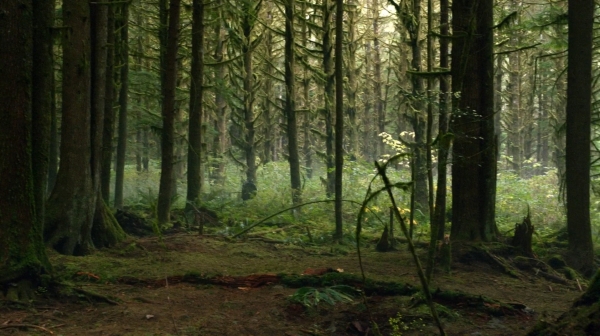 The 100 His Sisters Keeper Season One Episode Six-739
