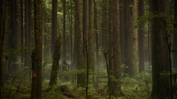 The 100 His Sisters Keeper Season One Episode Six-738
