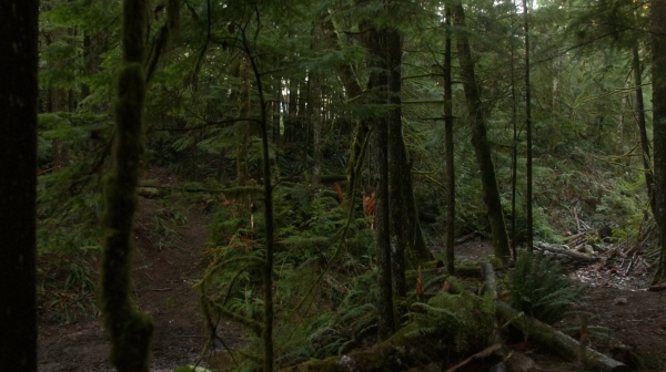 the100_111_0161.jpg