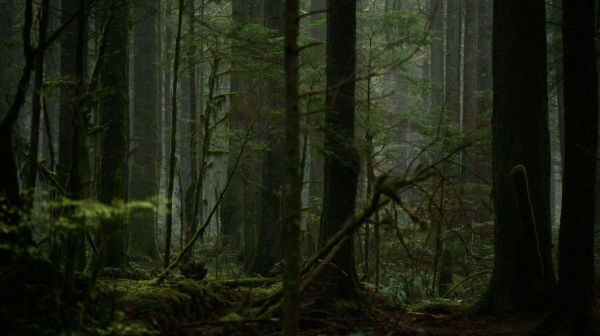 the100_111_0585.jpg