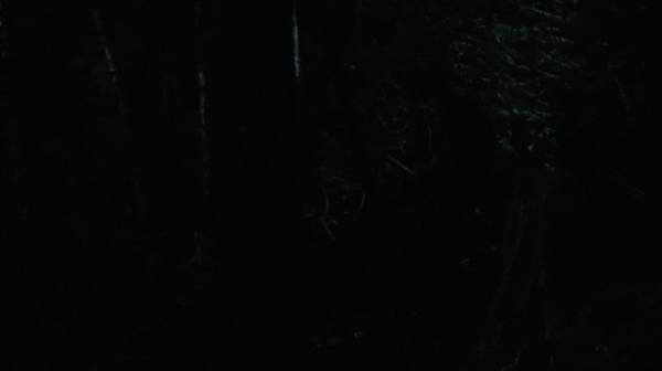 the100_111_1478.jpg