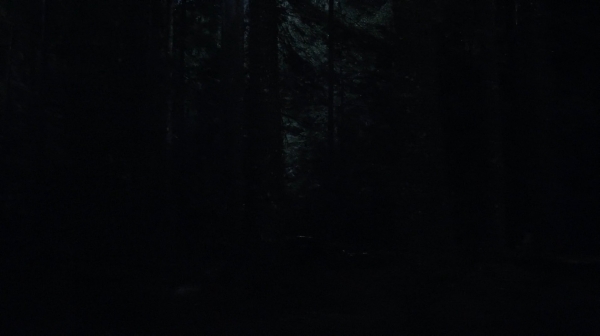the100_111_1550.jpg