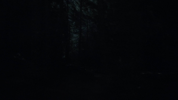 the100_111_1551.jpg