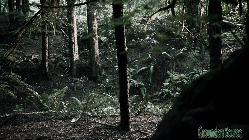 The 100 Scenery-7
