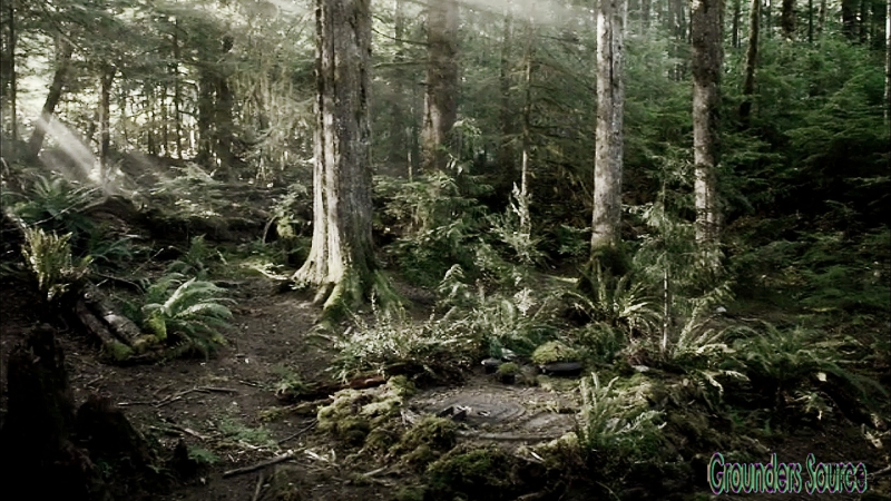 The 100 Scenery-6
