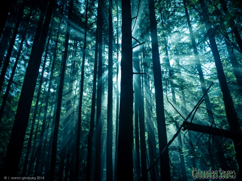 The 100 Season Three Behind the Scenes-34
