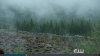 Screenshot_2015-12-14_18_00_17.png