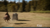 Screenshot_2015-12-14_18_00_23.png