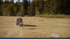 Screenshot_2015-12-14_18_00_24.png
