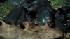 scnet_the100_3x08_0202.jpg