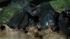 scnet_the100_3x08_0203.jpg