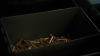 scnet_the100_3x08_0609.jpg