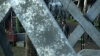 scnet_the100_3x08_1008.jpg