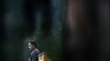 scnet_the100_3x08_1057.jpg