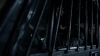 scnet_the100_3x08_2382.jpg