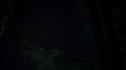 the100-103-0250.jpg