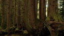 the100-103-0731.jpg
