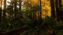 the100-103-0993.jpg