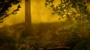 the100-103-1003.jpg