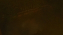 the100-103-1046.jpg