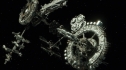 the100-103-1410.jpg