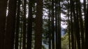the100-103-1511.jpg