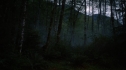 the100104-0597.jpg
