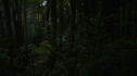 the100104-0670.jpg
