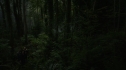 the100104-0671.jpg