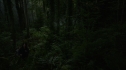 the100104-0672.jpg