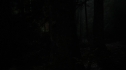 the100104-0937.jpg
