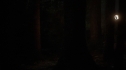 the100104-0942.jpg