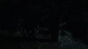 the100104-1042.jpg