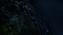 the100104-1045.jpg