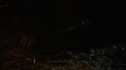 the100104-1167.jpg