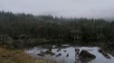 the100108_0347.jpg