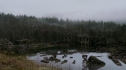the100108_0348.jpg