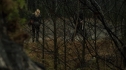 the100108_0357.jpg