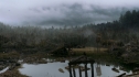 the100108_0441.jpg