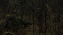 the100108_0445.jpg